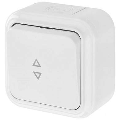 Bylectrica Пралеска (Аква) выкл. ОУ 1 кл. 10A (проход.) бел. пластик, IP54 А6 10-868 (арт. 765567)