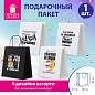 Пакет подарочный (1 штука) 26х13х32 см (L) "Funny Notes", ассорти, крафт, ЗОЛОТАЯ СКАЗКА, 700824 (арт. 700824)