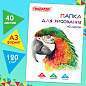 Папка для рисования БОЛЬШОГО ФОРМАТА А3, 40 л., 120 г/м2, ПИФАГОР, 297х420 мм, "Попугай", 129219 (арт. 129219)