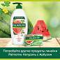 Мыло туалетное 90 г, PALMOLIVE НАТУРЭЛЬ "Летний арбуз", освежающее, 32940, 8693495032940 (арт. 609049)