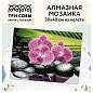 Алмазная мозаика ТРИ СОВЫ "Орхидеи на камнях", 30*40см, холст, картонная коробка с пластиковой ручкой (арт. 360917)