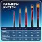 Кисти BRAUBERG PREMIUM, набор 5 шт. (синтетика, круглая № 1, 3, 5, плоская № 5, 8), блистер, 201024 (арт. 201024)