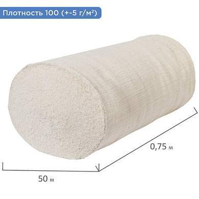 Полотно нитепрошивное (НЕТКОЛ), рулон 0,75х50 м, 100 (±5) г/м2, в пакете, LAIMA, 600931 (арт. 600931)