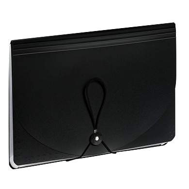 Папка-органайзер для хранения документов СТАММ А4, 25 отделений,  черный (арт. 381167)