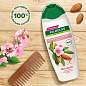 Шампунь 450 мл PALMOLIVE НАТУРЭЛЬ "Миндаль", для сухих, поврежденных волос, 8718951556362 (арт. 609042)