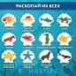 Набор для раскопок "Морские животные", 12 видов, карточки, инструменты, BRAUBERG KIDS, 665126 (арт. 665126)