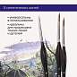 Кисти художественные набор 5 шт., синтетика, BRAUBERG ART CLASSIC, ЭРГОНОМИЧНЫЕ, 200950 (арт. 200950)