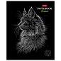 Тетрадь А5, 48 л., HATBER, скоба, клетка, матовая ламинация, 3D-лак, "Black Cat" (микс в спайке), 093159, 48Т5лолВ1 (арт. 405709)