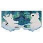 Флажки-закладки и самоклеящиеся блоки в наборе MESHU "Polar Bears", 20л*5 цветов, европодвес (арт. 377504)