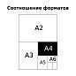 Тетрадь 80л., А4, клетка BG "Monocolor. Chat", неоновые краски (арт. 341657)