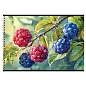 Альбом для рисования 32л., А4, на гребне BG "Botanical" (арт. 378708)