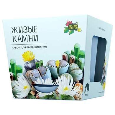 Набор для выращивания растений МАГИЯ ЦВЕТОВ, "Живые камни Литопсы", (горшок, грунт, с, mf-004 (арт. 666763)