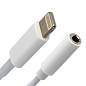 Переходник для наушников с iPhone LIGHTNING на AUX (MINI JACK 3.5 мм), SONNEN, 0,1 м, белый, 513565 (арт. 513565)