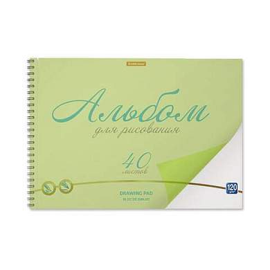 Альбом для рисования обложка пластик, А4, 40 л., гребень, 120 г/м2, перфорация, Erich Krause, "Neon", зеленый, 58605 (арт. 116379)