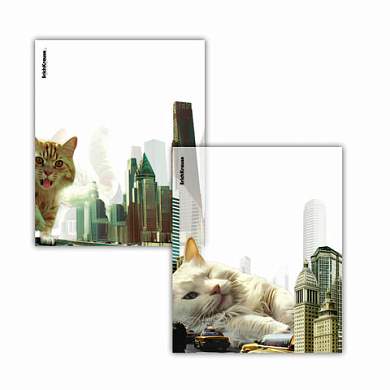 Обложки ПП для тетрадей и дневников ERICH KRAUSE "Big City Cats", КОМПЛЕКТ 12 шт., 80 мкм, 212х347 мм, 63508 (арт. 273962)