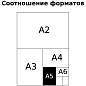Тетрадь 24л., клетка BG "Первоклассная", светло-розовая (арт. 334059)