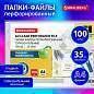 Папки-файлы перфорированные горизонтальной ориентации А4 BRAUBERG, КОМПЛЕКТ 100 шт., 35 мкм, 271829 (арт. 271829)