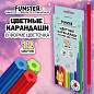 Карандаши цветные FUNSTER (ФАНСТЕР), 12 цветов, фигурный корпус в форме цветочка, 182069 (арт. 182069)