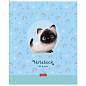 Тетрадь А5 48 л. HATBER скоба, клетка, обложка картон, "Кошарики" (5 видов в спайке), 48Т5В1 (арт. 404481)