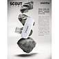 Флеш-диск 64 GB SMARTBUY Scout USB 2.0, белый, SB064GB2SCW (арт. 513771)
