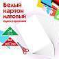 Картон белый А4 немелованный (матовый), 24 листа, ПИФАГОР, 200х290 мм, "Совушка", 113565 (арт. 113565)