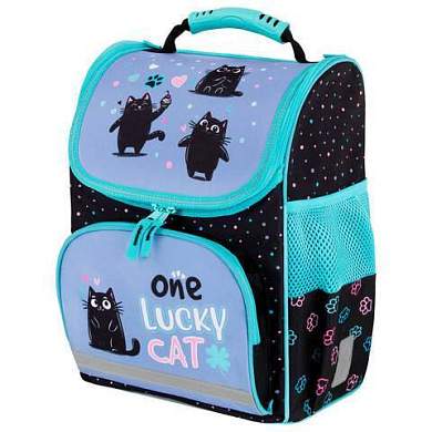 Ранец ПИФАГОР BASIC, 1 отделение, 3 кармана, эргономичная спинка, "Funny cats", 35х28х18 см, 273135 (арт. 273135)