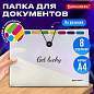 Папка-органайзер на резинке 8 отделений, BRAUBERG "Glassy", А4, прозрачная, 271928 (арт. 271928)
