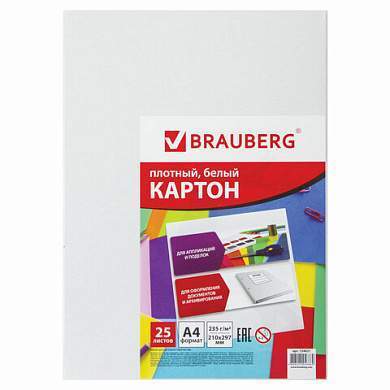 Картон белый А4 МЕЛОВАННЫЙ (белый оборот), 25 листов, BRAUBERG, 210х297 мм, 124021 (арт. 124021)