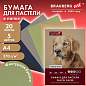 Бумага для пастели ФАКТУРНАЯ, А4, в папке, 20 листов, 5 цветов, 270 г/м2, BRAUBERG ART, 117755 (арт. 117755)