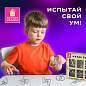 Головоломки металлические ЗОЛОТАЯ СКАЗКА (уровень сложности "НОВИЧОК"), набор 6 штук, 662087 (арт. 662087)