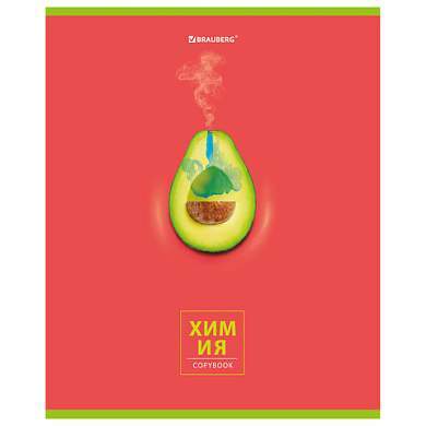 Тетрадь предметная "AVOCADO" 48 л., глянцевый лак, ХИМИЯ, клетка, BRAUBERG, 404284 (арт. 404284)