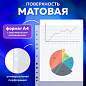 Папки-файлы перфорированные А4 BRAUBERG "EXTRA 900", КОМПЛЕКТ 50 шт., матовые, ПЛОТНЫЕ, 90 мкм, 229669 (арт. 229669)