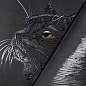 Тетрадь А5, 48 л., HATBER, скоба, клетка, матовая ламинация, 3D-лак, "Black Cat" (микс в спайке), 093159, 48Т5лолВ1 (арт. 405709)