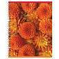Тетрадь 80л., А5, клетка на гребне BG "Perfect flower", двойная обложка (арт. 341037)