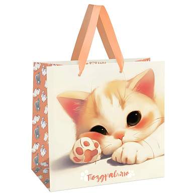 Пакет подарочный 20*20*10см MESHU "Lovely kitten", матовая ламинация (арт. 382371)
