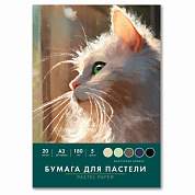 Бумага для пастели БОЛЬШАЯ А3 в папке, 20 листов, 5 цветов, 180 г/м2, BRAUBERG ART CLASSIC, 116346 (арт. 116346)