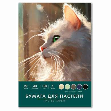 Бумага для пастели БОЛЬШАЯ А3 в папке, 20 листов, 5 цветов, 180 г/м2, BRAUBERG ART CLASSIC, 116346 (арт. 116346)