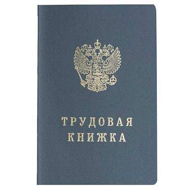 Бланк документа "Трудовая книжка" в твердой обложке, 88х125 мм (арт. 121229)