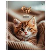 Дневник 1-4 кл. 48л. (твердый) BG "Soft", матовая ламинация (арт. 376842)