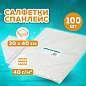 Салфетка одноразовая белая 30х40 см, КОМПЛЕКТ 100 шт., спанлейс, 40 г/м2, ЧИСТОВЬЕ, 00-147 (арт. 630877)