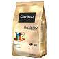 Кофе в зернах COFFESSO "Massimo" 100% арабика, 1 кг, 102488 (арт. 623414)