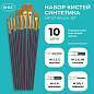 Кисти набор 10 шт., синтетика, фиолетовые, № 2/0-8, (Круглые; Овальные; Плоские; Лайнеры),WBZ, 201086 (арт. 201086)