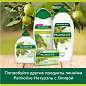 Мыло туалетное 90 г, PALMOLIVE НАТУРЭЛЬ "Олива и увлажняющее молочко", интенсивное увлажнение, 32766, 8693495032766 (арт. 609048)