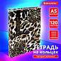 Тетрадь на кольцах А5 165х215 мм, 120 листов, твердый картон, клетка, BRAUBERG, "Leopard", 404712 (арт. 404712)