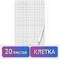 Блокнот для флипчарта ПЛОТНЫЙ 80 г/м2, BRAUBERG, 67,5х98 см, 20 листов, белый (КЛЕТКА), 128645 (арт. 128645)