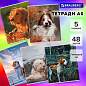 Тетради ДЭК А5 48 л. КОМПЛЕКТ 5 шт., BRAUBERG скоба, клетка, глянцевый лак, "Собачки", 404676 (арт. 404676)