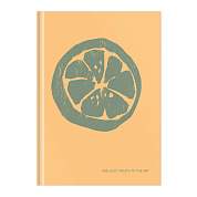 Записная книжка А5 64л. BG "Juicy fruits", soft-touch ламинация, блок-еженедельник, блок 80 гр/м2 (арт. 342955)
