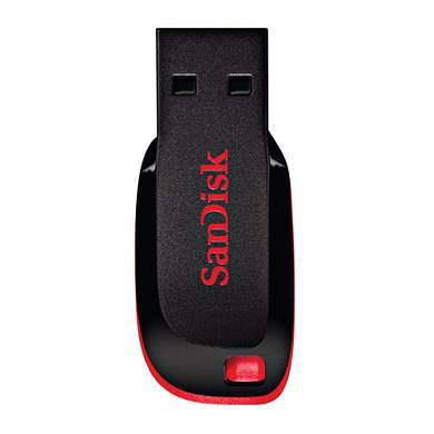 Флеш-диск 128 GB, SANDISK Cruzer Blade, USB 2.0, черный, SDCZ50-128G-B35 (арт. 512233)