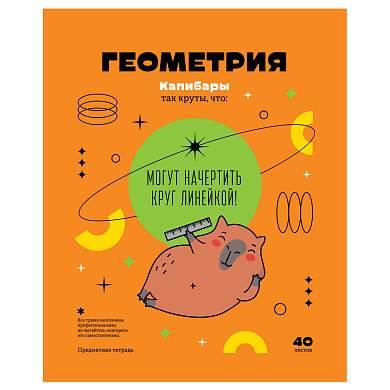 Тетрадь предметная 40л. BG "Записки школьника" - Геометрия, эконом (арт. 362754)