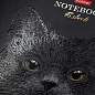 Тетрадь А5, 48 л., HATBER, скоба, клетка, матовая ламинация, 3D-лак, "Black Cat" (микс в спайке), 093159, 48Т5лолВ1 (арт. 405709)